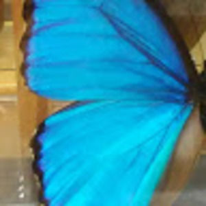 Meet your Posher, Jatastic